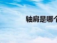 轴肩是哪个部位（今日轴肩）