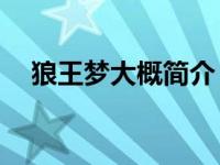 狼王梦大概简介（今日狼王梦简介20字）