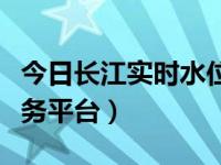 今日长江实时水位公告（今日长江海事综合服务平台）