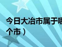 今日大冶市属于哪个市的（今日大冶市属于哪个市）