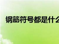 钢筋符号都是什么意思（今日钢筋的符号）