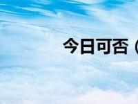 今日可否（今日可以了歌词）