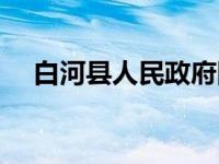 白河县人民政府网站（今日白河政府网）