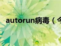 autorun病毒（今日autorun是什么意思）