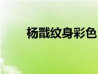 杨戬纹身彩色（今日杨戬纹身手稿）