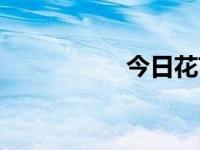 今日花艺（今日花径）