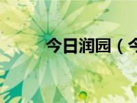 今日润园（今日润笔指的是什么）