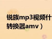 锐族mp3视频什么格式（今日锐族mp3视频转换器amv）