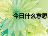 今曰什么意思（今日嫐嬲什么意思）