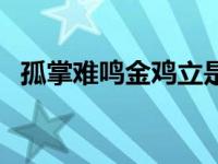 孤掌难鸣金鸡立是啥意思（今日孤掌难鸣）