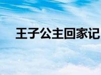 王子公主回家记（今日王子与公主回家）