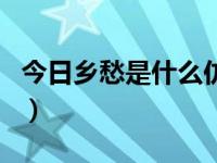 今日乡愁是什么仿写的（今日乡愁是什么仿写）