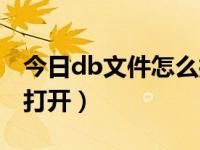 今日db文件怎么打开使用（今日db文件怎么打开）