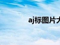 aj标图片大全（今日aj标志）