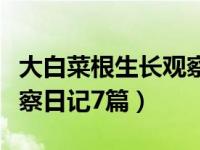 大白菜根生长观察日记（今日水生白菜根的观察日记7篇）