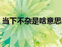 当下不杂是啥意思（今日当下不杂什么意思）