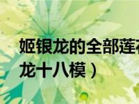 姬银龙的全部莲花落 上下（今日莲花落姬银龙十八模）