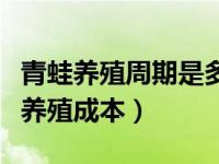 青蛙养殖周期是多久几个月可以卖（今日青蛙养殖成本）