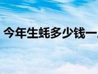 今年生蚝多少钱一斤（今日生蚝多少钱一斤）