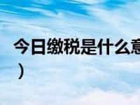 今日缴税是什么意思呀（今日缴税是什么意思）