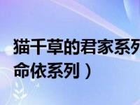 猫千草的君家系列人物关系（今日猫千草君家命依系列）