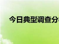 今日典型调查分析报告（今日典型调查）