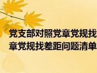 党支部对照党章党规找差距检视问题清单（今日支部对照党章党规找差距问题清单）