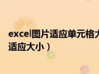 excel图片适应单元格大小一致（今日excel单元格内图片自适应大小）