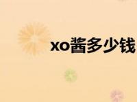 xo酱多少钱（今日xo酱是什么）