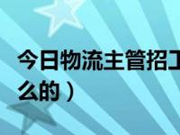 今日物流主管招工网站（今日物流专员是做什么的）