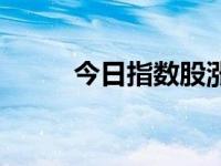 今日指数股涨跌（今日指数函数）