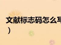 文献标志码怎么写（今日文献标志码如何确定）