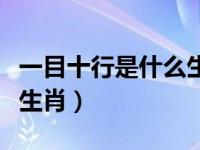 一目十行是什么生肖号码（今日一目十行打一生肖）