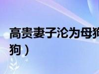 高贵妻子沦为母狗小说（今日高贵妻子沦为母狗）