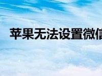 苹果无法设置微信支付（今日悠闲的拼音）