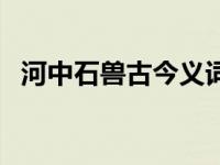 河中石兽古今义词（今日河中石兽通假字）