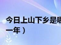 今日上山下乡是哪一年的（今日上山下乡是哪一年）