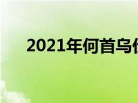 2021年何首乌价格（今日何首乌图片）