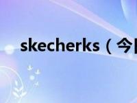 skecherks（今日skechers是什么牌子）