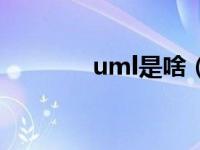 uml是啥（今日uml是什么）