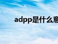 adpp是什么意思（今日adp是什么）