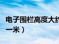 电子围栏高度大约多少（今日电子围栏多少钱一米）