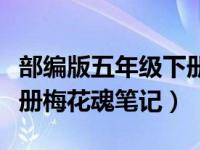 部编版五年级下册梅花魂笔记（今日五年级下册梅花魂笔记）