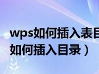 wps如何插入表目录以及图目录（今日wps中如何插入目录）