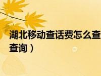 湖北移动查话费怎么查（今日湖北移动网上营业厅话费清单查询）