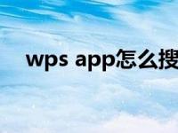 wps app怎么搜索（今日wps怎么搜索）