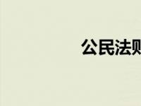 公民法则（今日公民法）