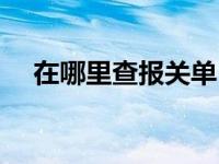 在哪里查报关单（今日怎样查询报关单）