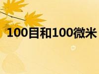 100目和100微米（今日100目是多少微米）