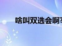 啥叫双选会啊?（今日双选会是什么）